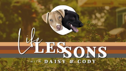 Life Lessons with Daisy & Cody